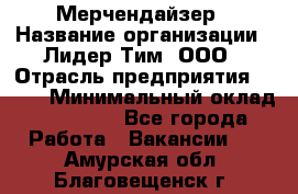 Мерчендайзер › Название организации ­ Лидер Тим, ООО › Отрасль предприятия ­ BTL › Минимальный оклад ­ 17 000 - Все города Работа » Вакансии   . Амурская обл.,Благовещенск г.